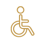 Paraplegia